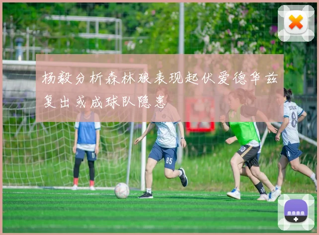 杨毅分析森林狼表现起伏爱德华兹复出或成球队隐患